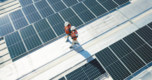 Best Roof Moss and Algae Removal  in Walkertown, NC